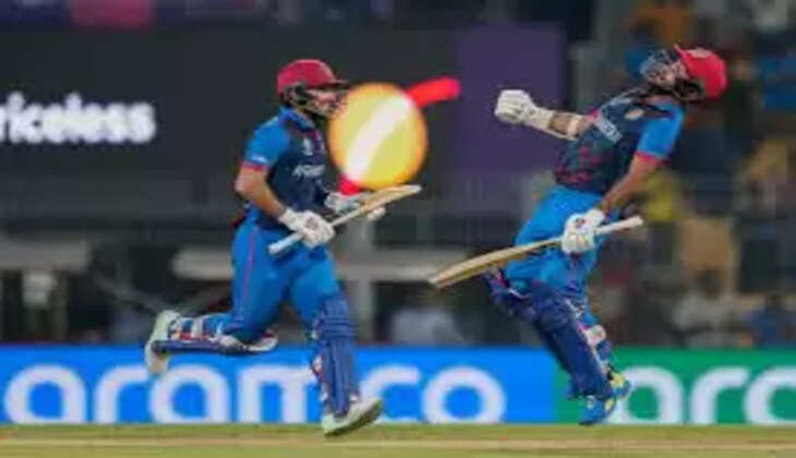 cricket