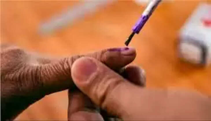 election