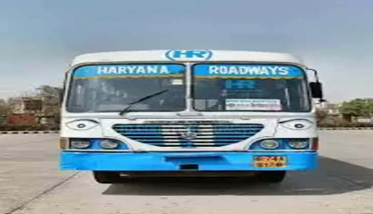 bus