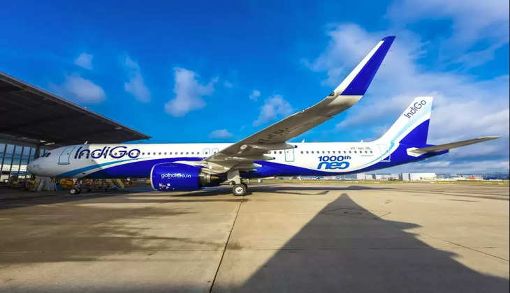 indigo pilots