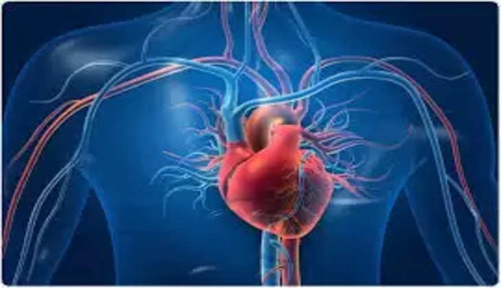 heart