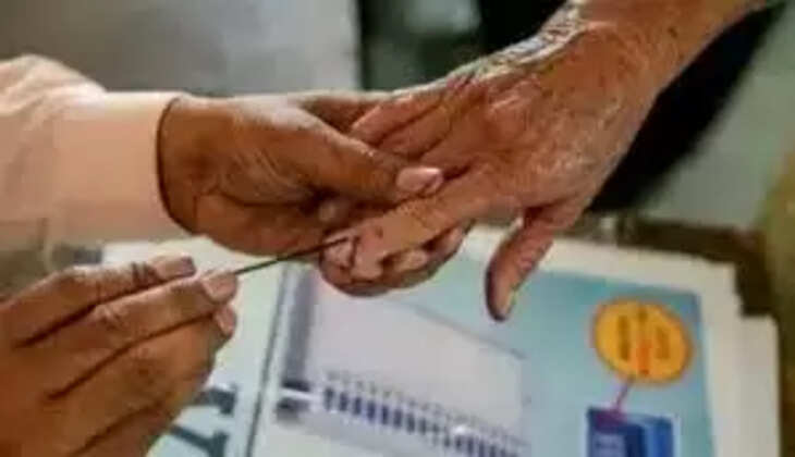 vote